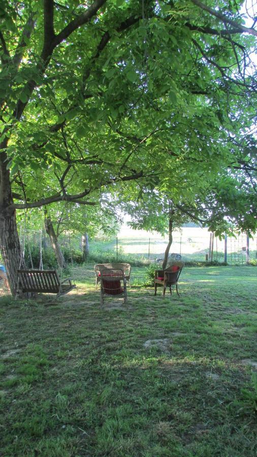 B&B La Casa Dei Prugni Boretto Buitenkant foto